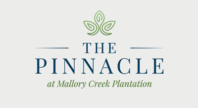 The Pinnacle at Mallory Creek