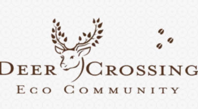 Deer Crossing